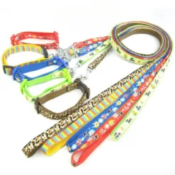 Vibrant Pet Collar & Leash Sets - Assorted Designs