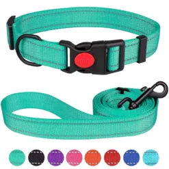 Reflective Collar – Pet (Necklace & Leash)