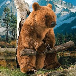 Douglas Shaggy Brown Bear