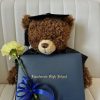 Build-A-Bear Graduation Bear