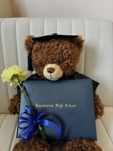 Build-A-Bear Graduation Bear