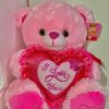Build-A-Bear Valentines Heart Bear